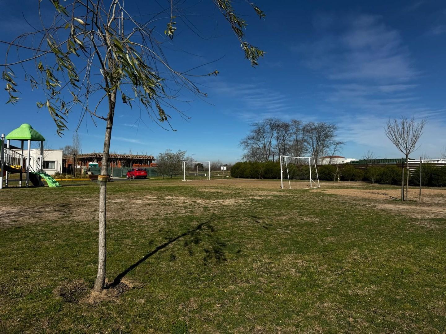 Foto de Terreno Lote en Venta en Santa Ana, Villanueva, Tigre, imagen 5