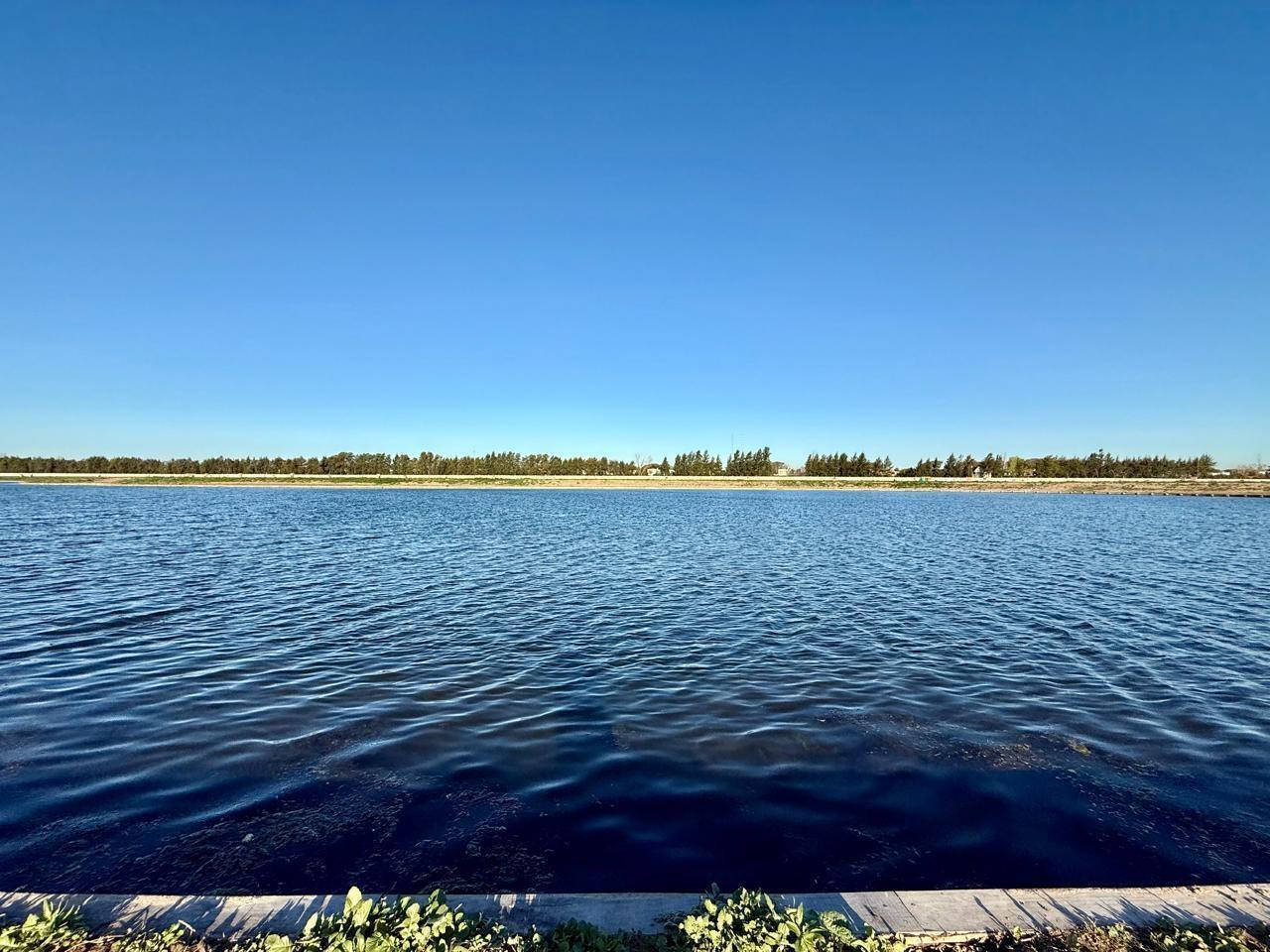 Foto de Lote al lago en venta en Silvestre Nordelta, imagen 4