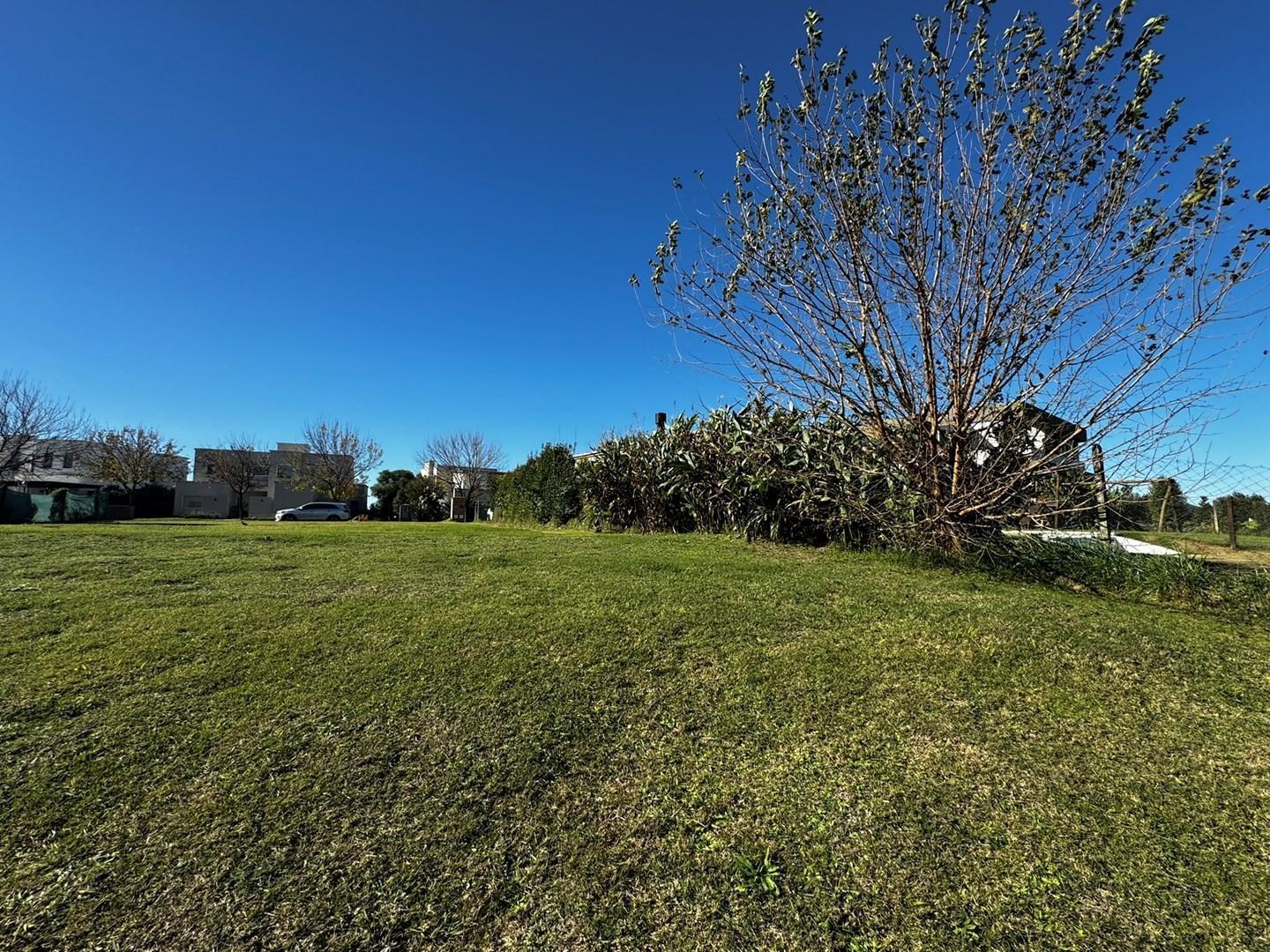 Foto de Lote a la laguna en venta San Matías, imagen 4