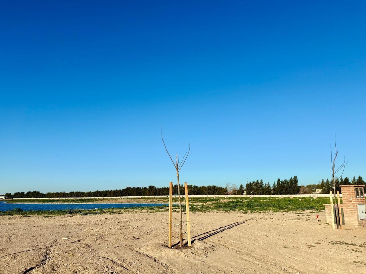 Foto de Lote al lago en venta en Silvestre Nordelta, imagen 4