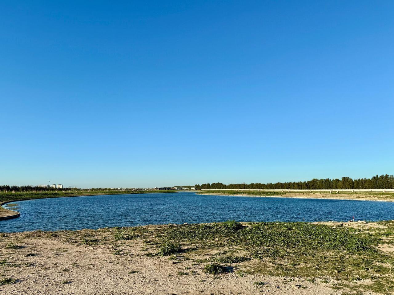 Foto de Lote al lago en venta en Silvestre Nordelta, imagen 3