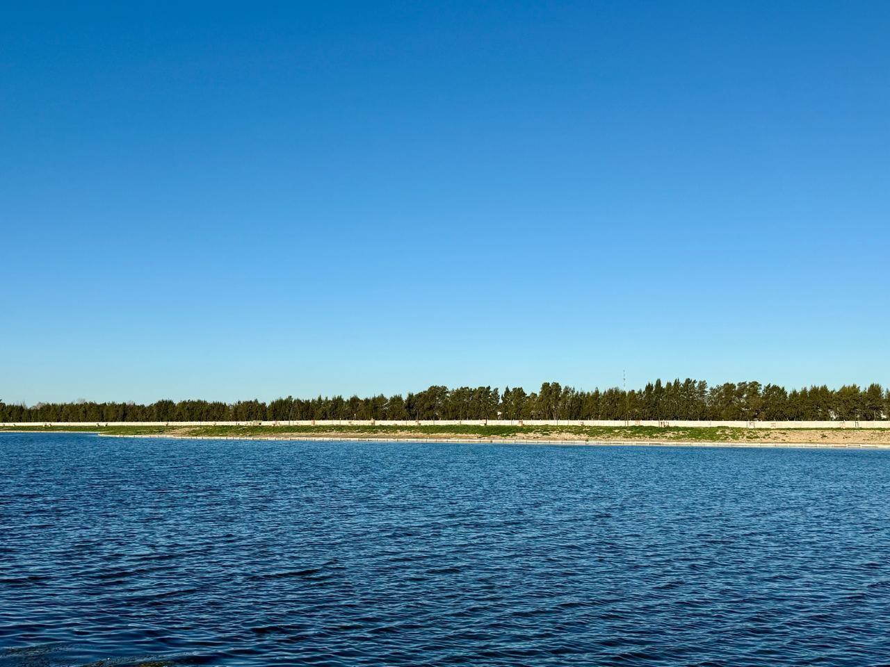 Foto de Lote al lago en venta en Silvestre Nordelta, imagen 2