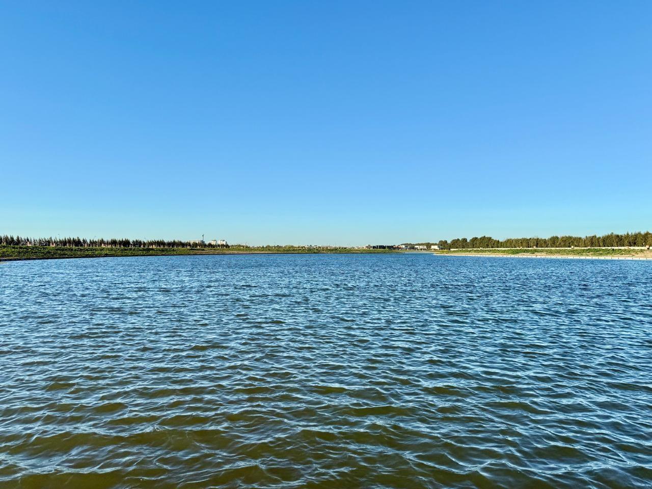 Foto de Lote al lago en venta en Silvestre Nordelta, imagen 1