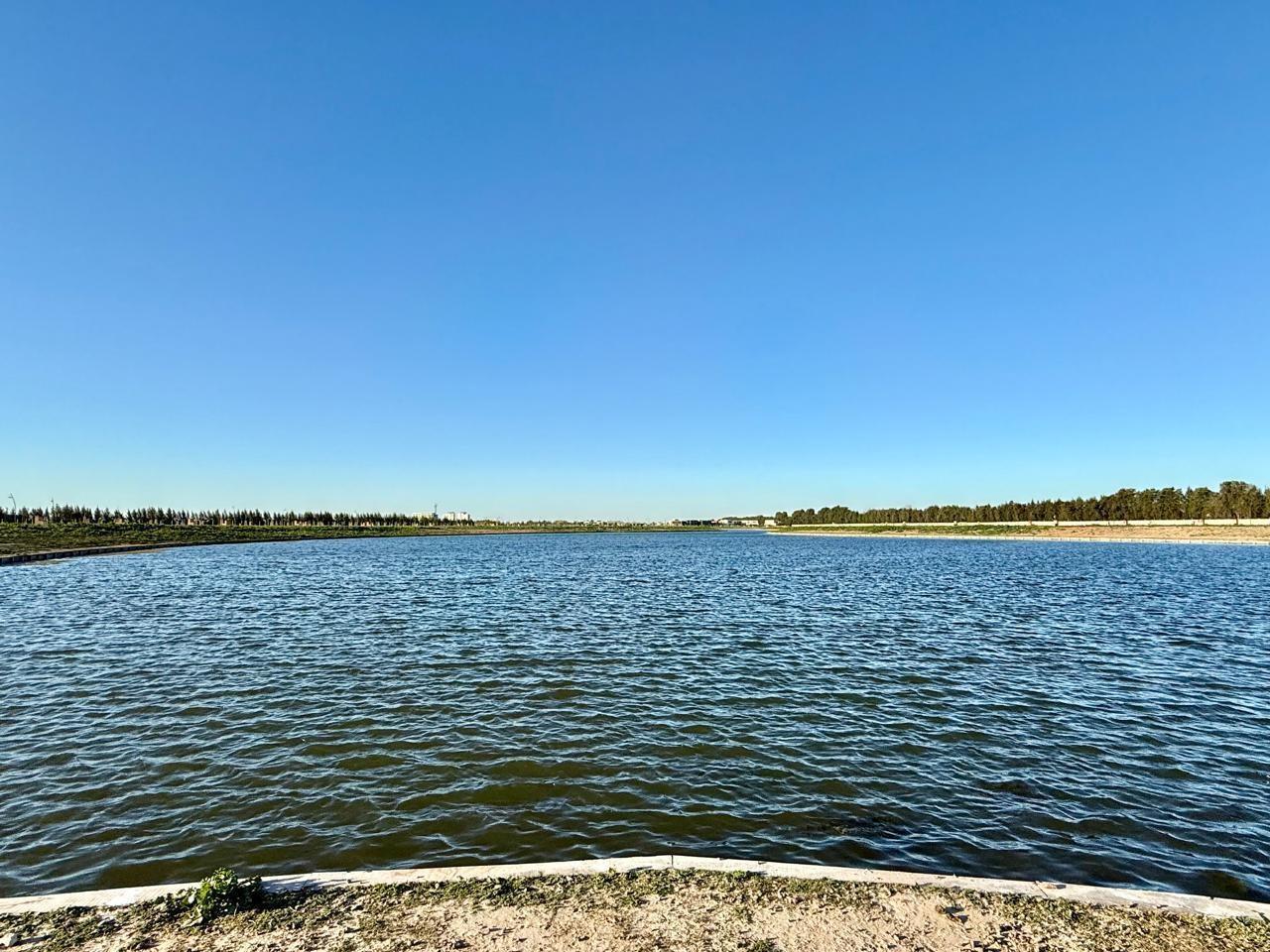 Foto de Lote al lago en venta en Silvestre Nordelta, imagen 5
