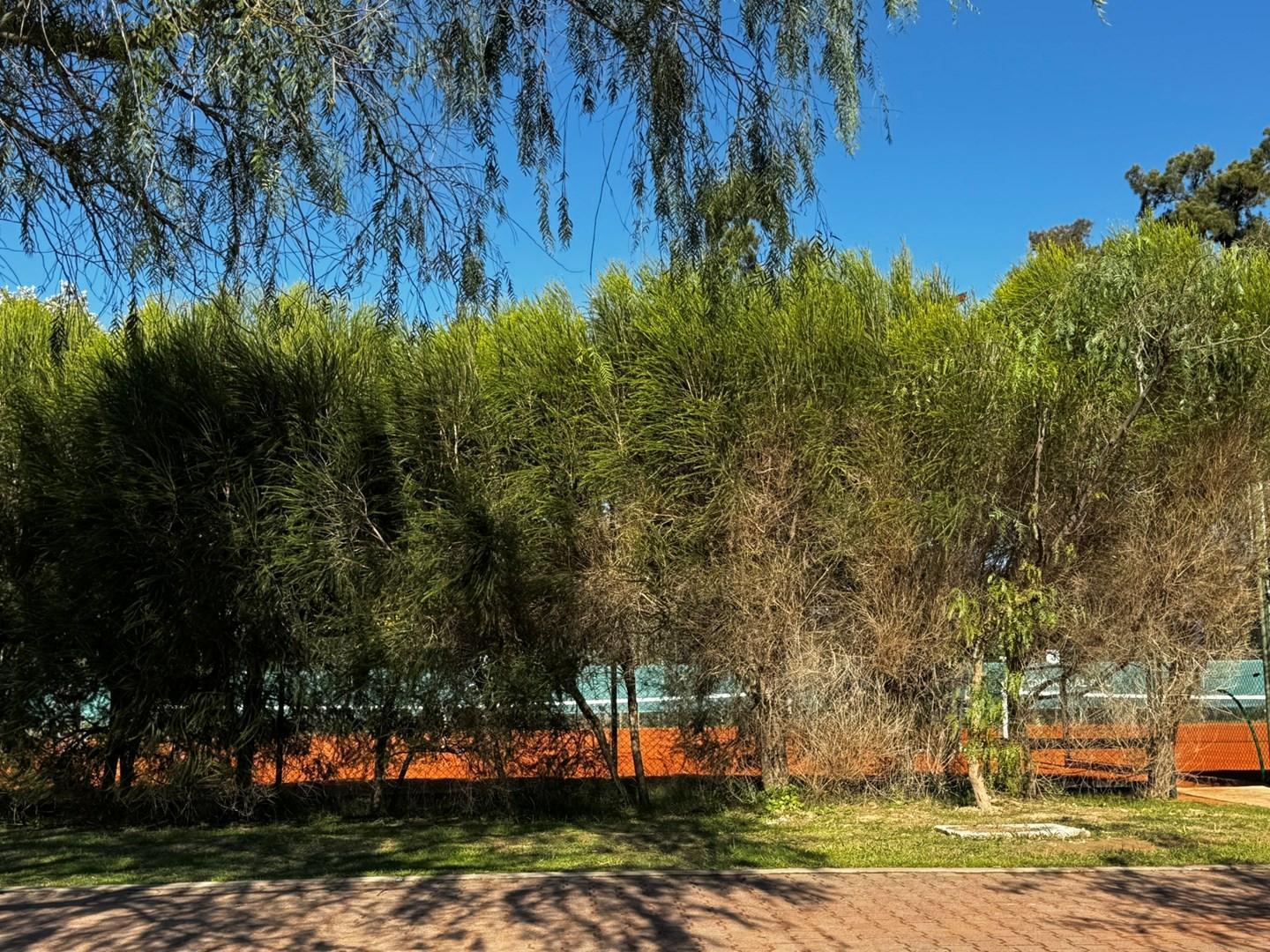 Foto de Lote en venta a la laguna en San Matias, Escobar, imagen 5