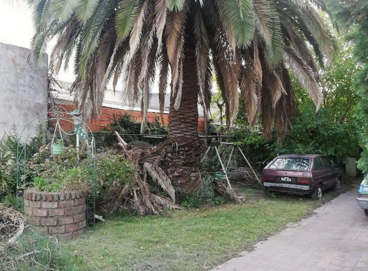 Venta casa 4 amb. galpón gran parque en V. Alsina 4
