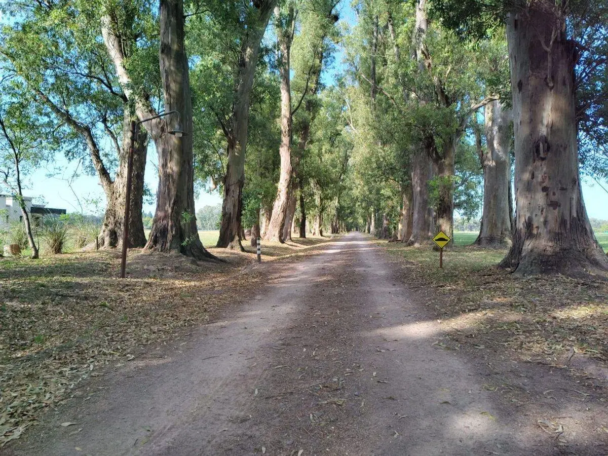 VENTA-LOTE CLUB DE CAMPO Y POLO-GRAL.HORNOS 4