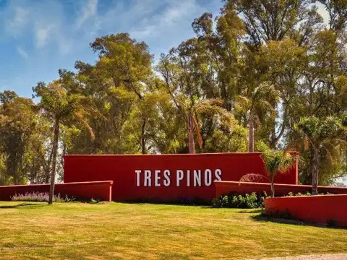 LOTE EN VENTA BARRIO NORTE, TRES PINOS