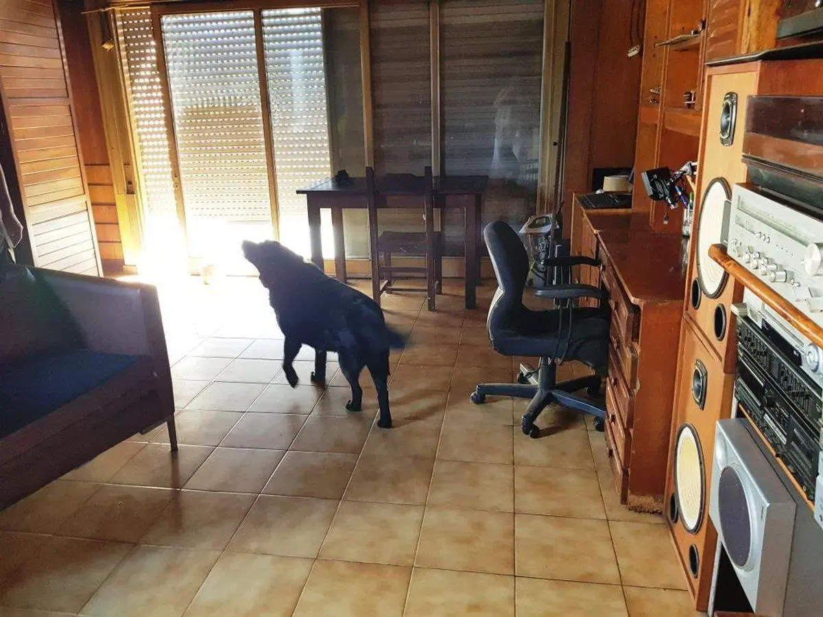 VENTA CASA  6 AMBIENTES EN LINIERS 5