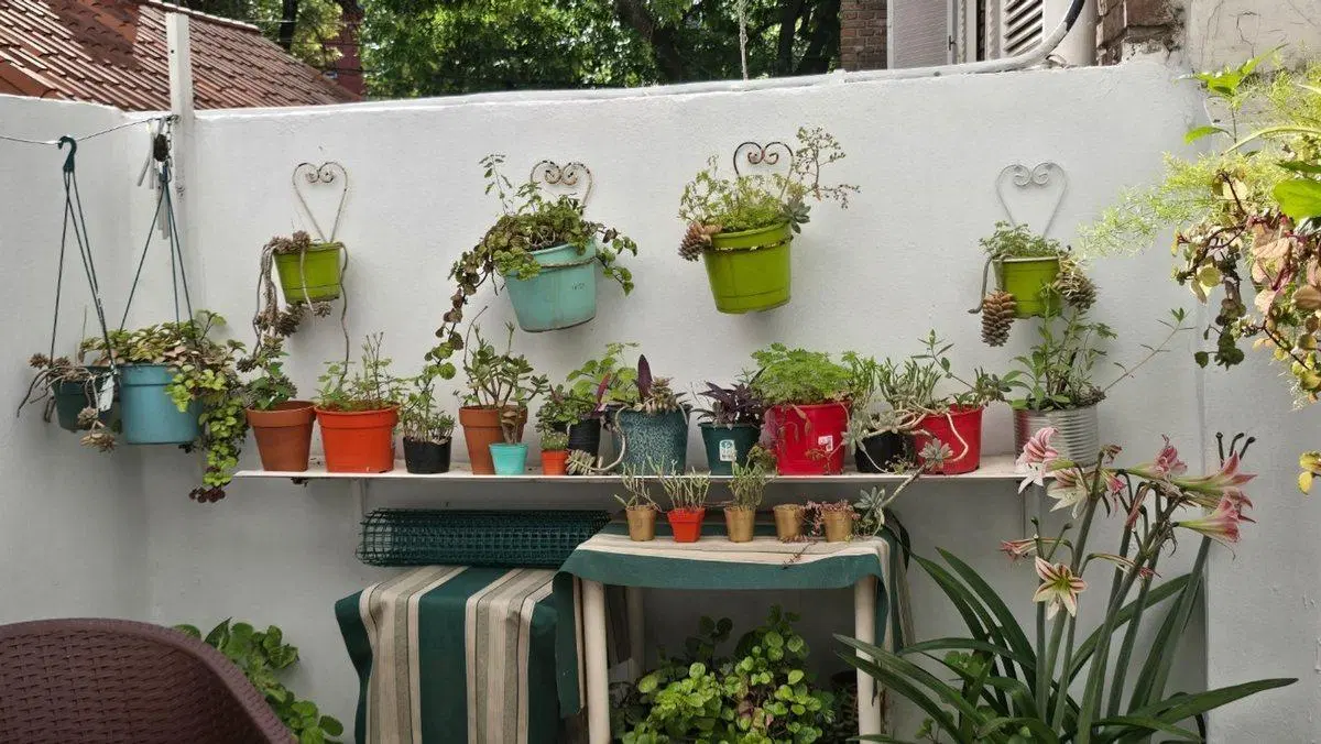 VENTA 2AMB CON PATIO EN COLEGIALES 8