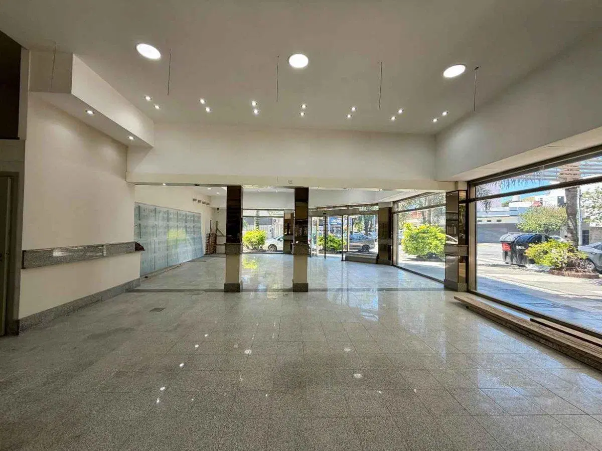 ALQUILER LOCAL COMERCIAL EN VILLA DEL PARQUE 5