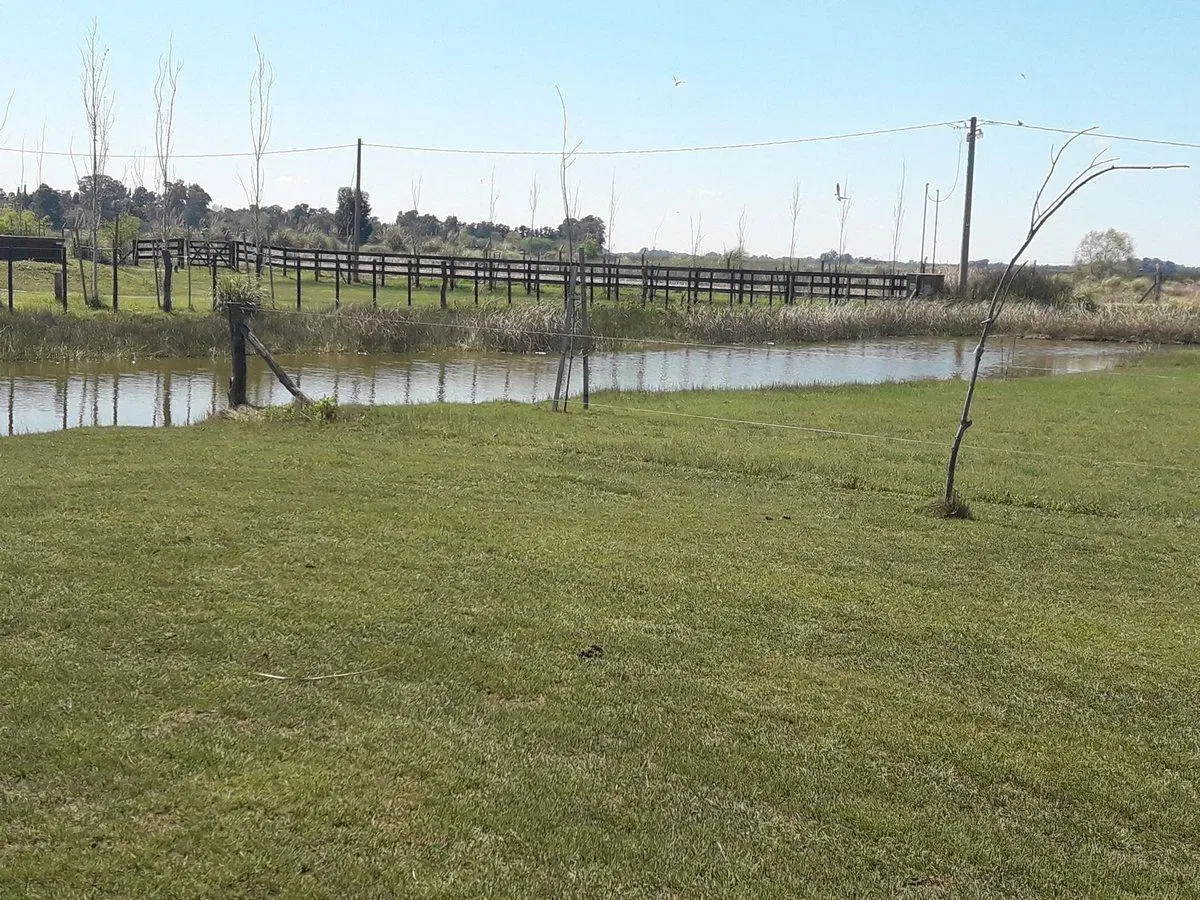 Casa Quinta con arroyo privado, vista laguna Lobos 5