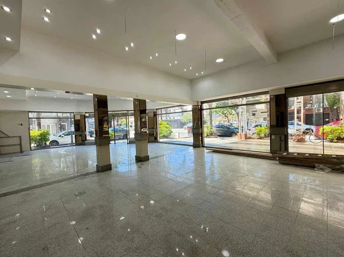 ALQUILER LOCAL COMERCIAL EN VILLA DEL PARQUE 3