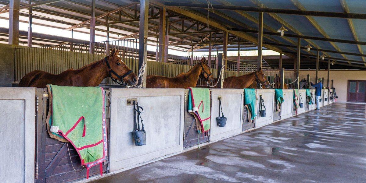 Foto de Venta Lote a la laguna!!! 1539m Zona 7 Technopolo, imagen 3