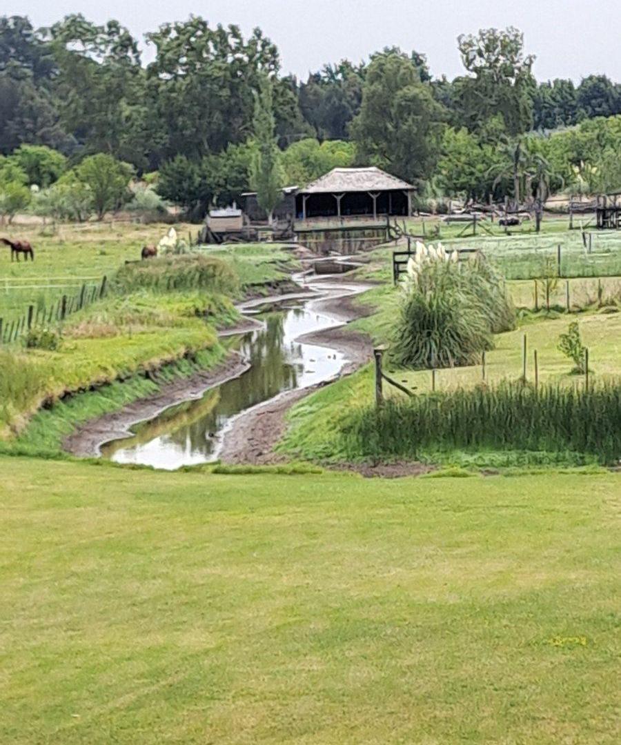 Foto de Casa Quinta con arroyo privado, vista laguna Lobos, imagen 5