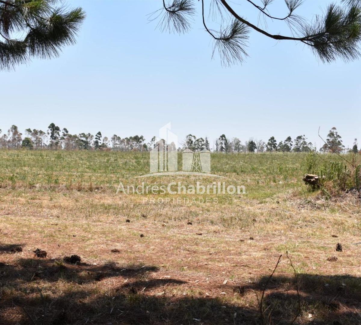 Terrenos de 7.800 m² en Villa Zorraquìn 3