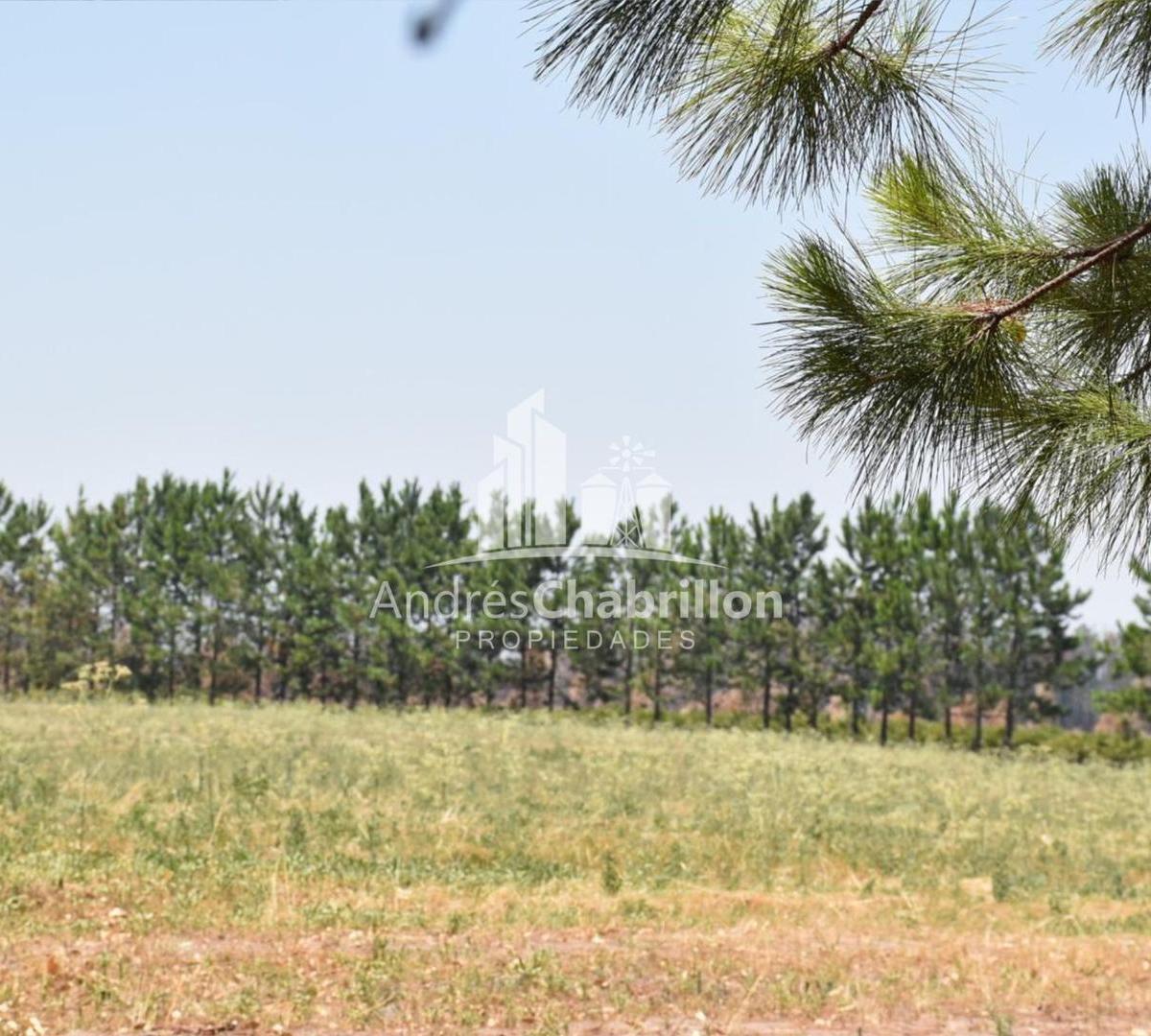 Terrenos de 7.800 m² en Villa Zorraquìn 1