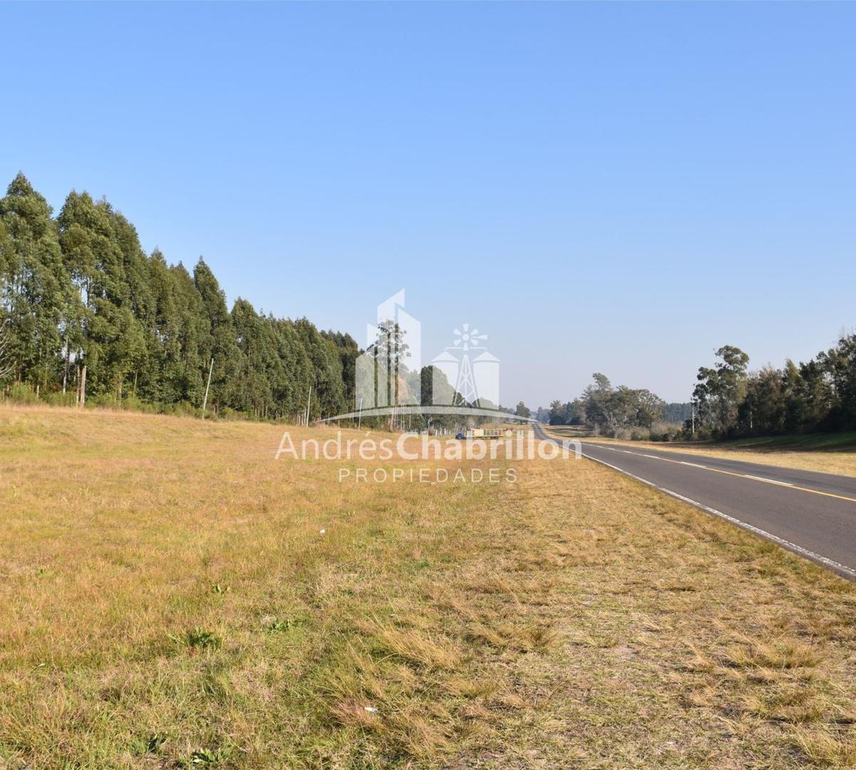 Terreno Sobre Ruta 015 5