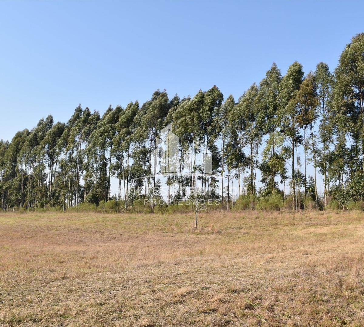 Terreno Sobre Ruta 015 2