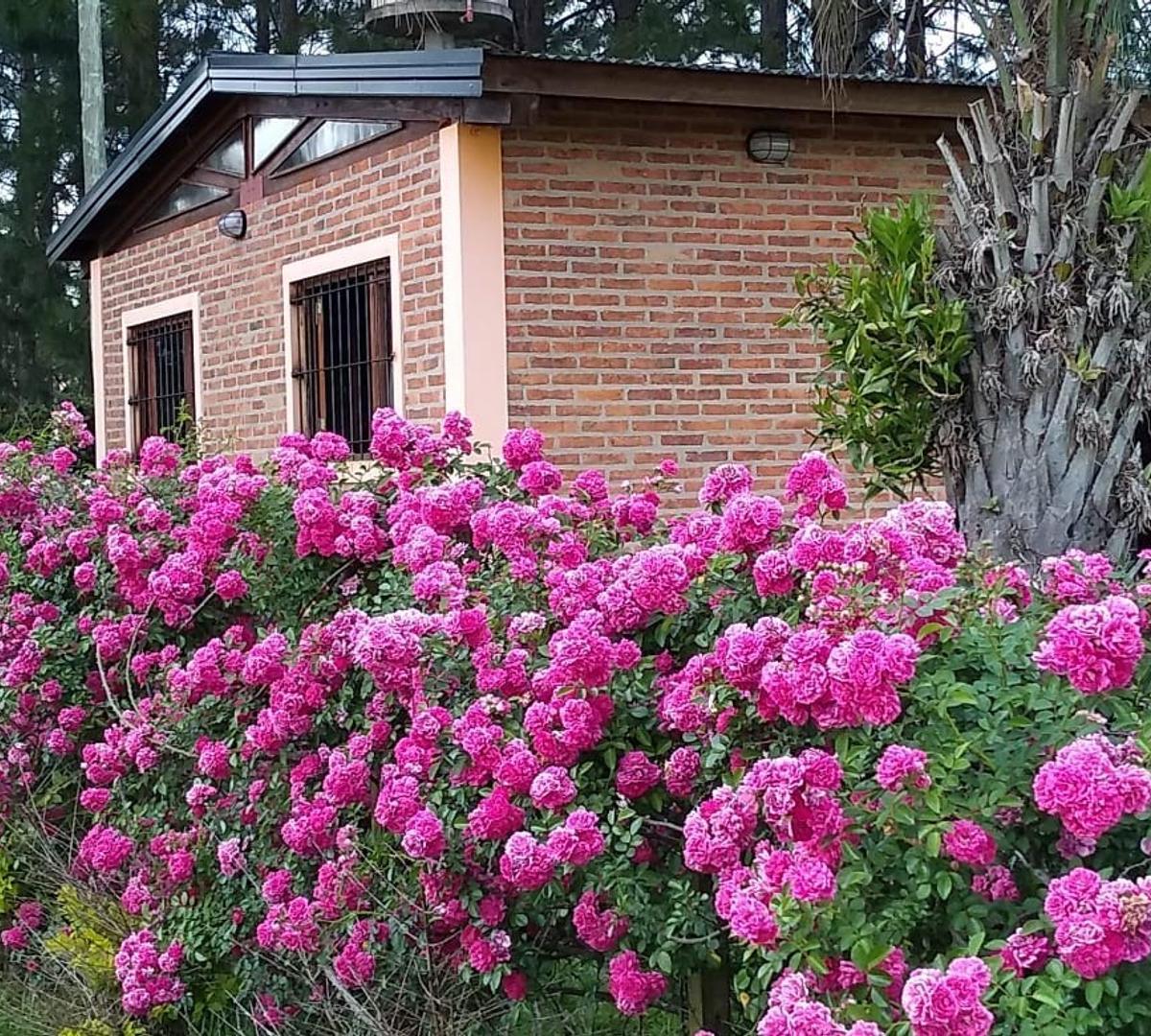 Hermosa Casa Para Fin de Semana. Amplio Parque 2