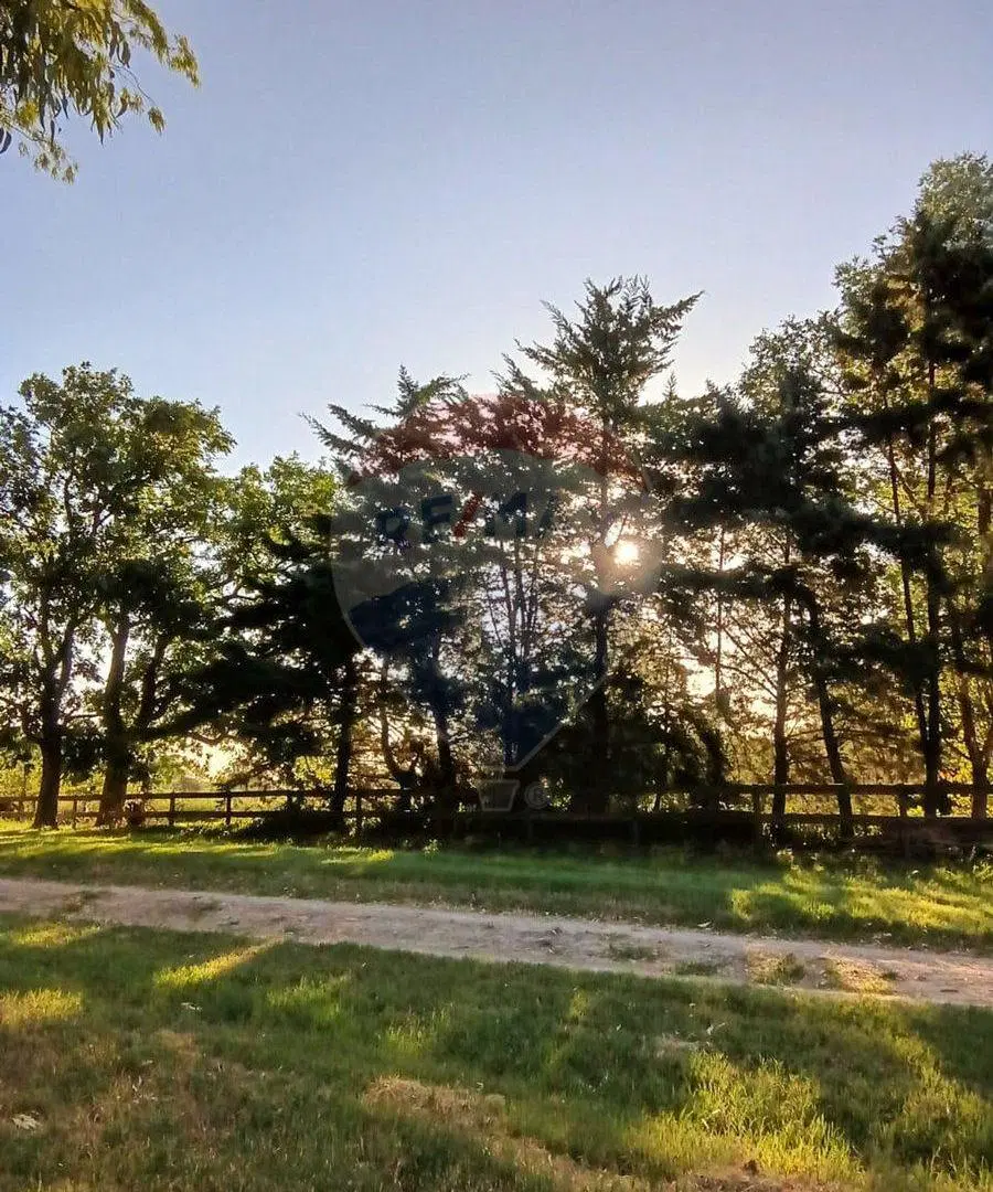 VENTA - LOTE 14.603 m² - CHACRAS DE OLIVIA, ZÁRATE 4
