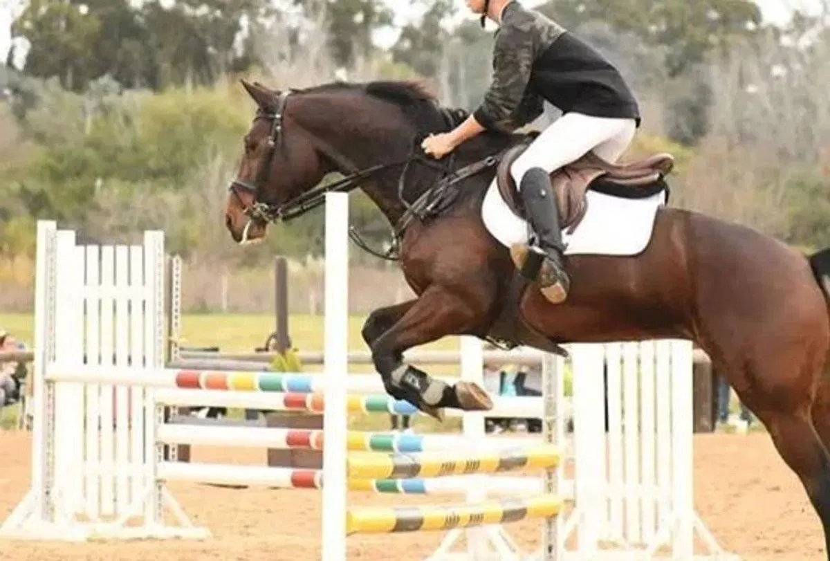 LOTE  SAN SEBASTIAN AREA 12  FINANCIACION! 4