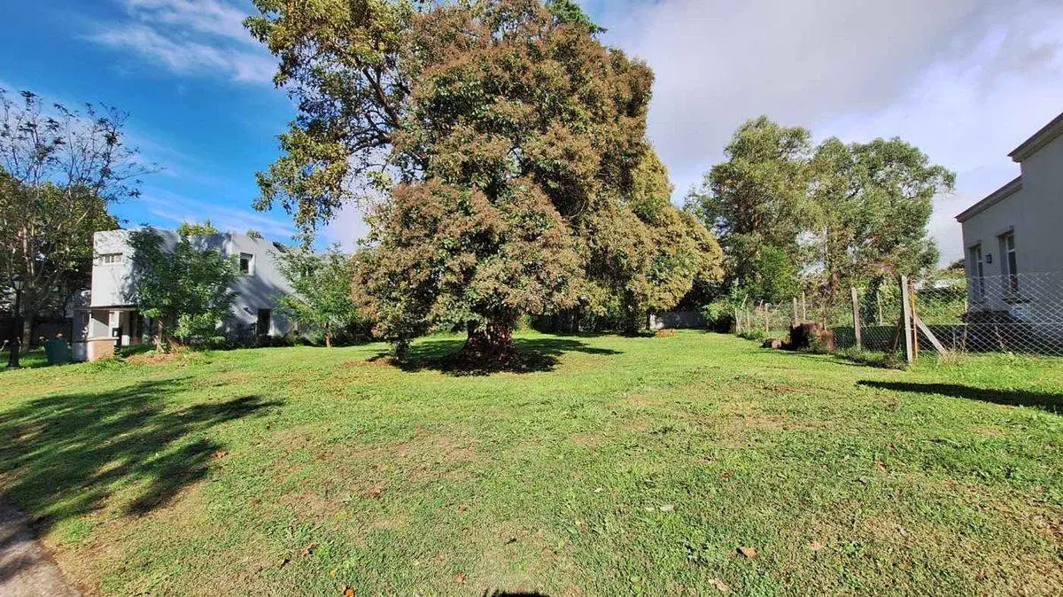 VENTA LOTE en B° SAN MATIAS AREA 3 (NE) 2