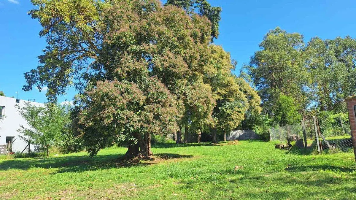 VENTA LOTE en B° SAN MATIAS AREA 3 (NE) 4
