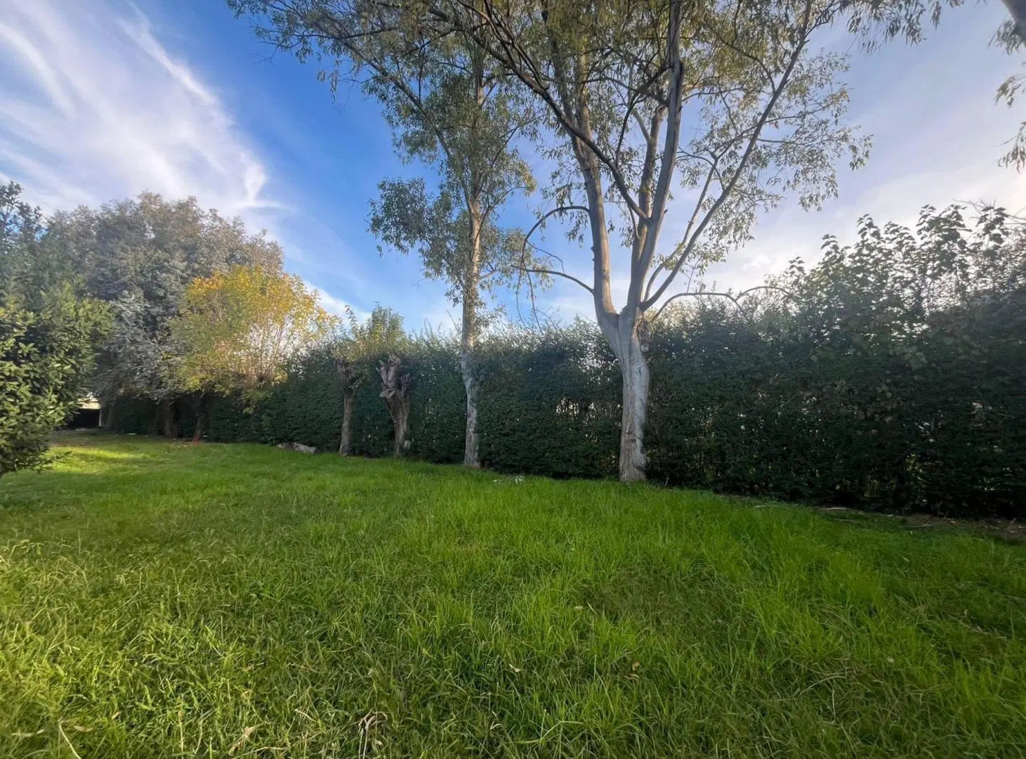 Venta Lote zonaOffice Park Las Camelias Del Viso 4