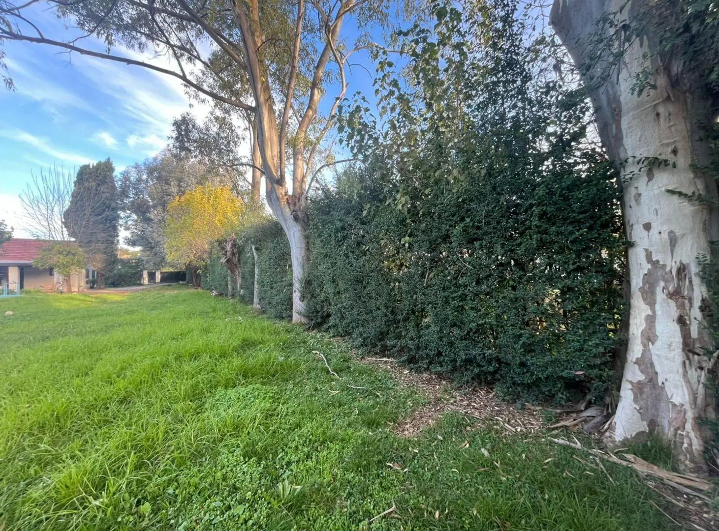 Venta Lote zonaOffice Park Las Camelias Del Viso 5