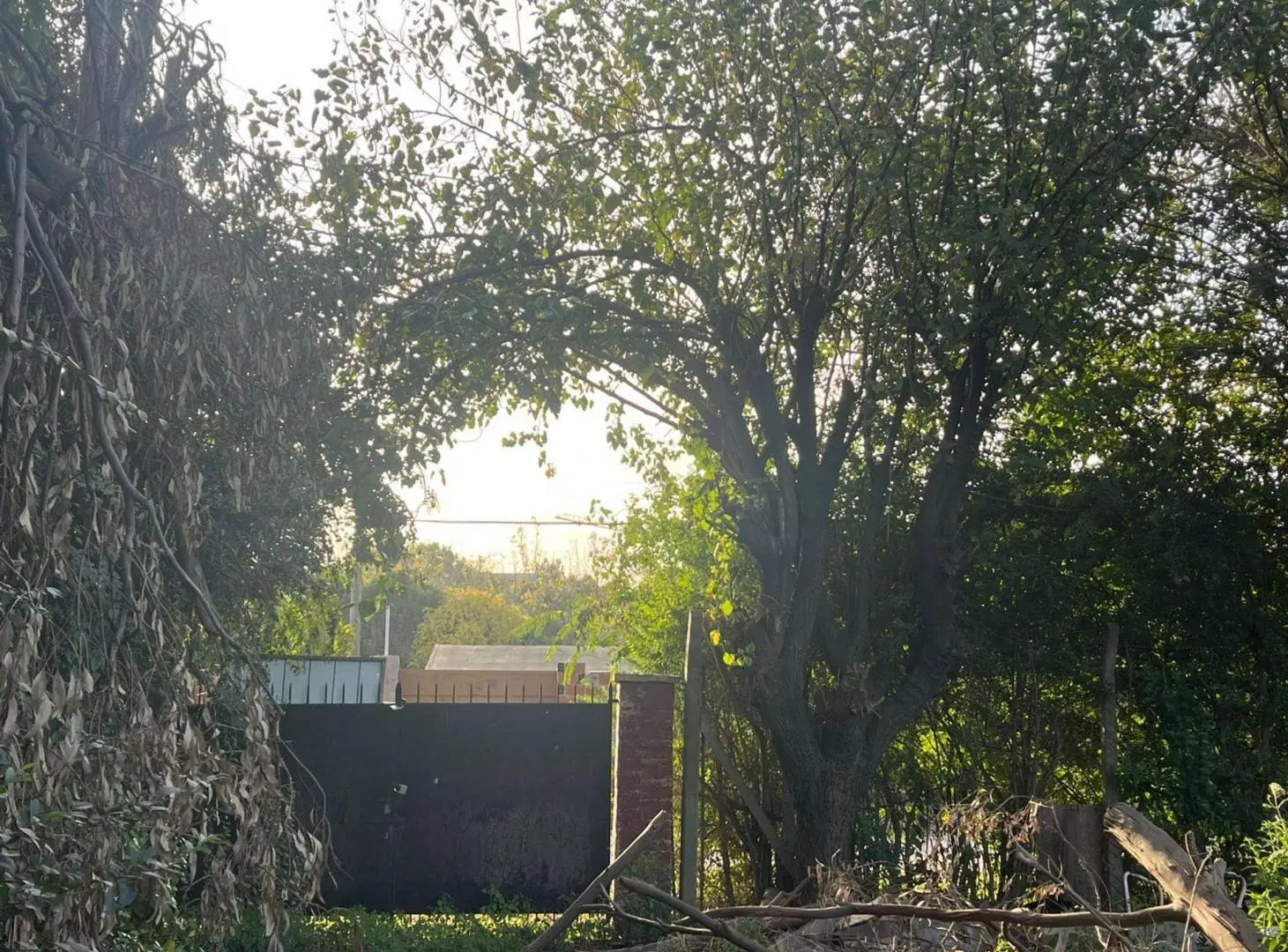 Venta Lote zonaOffice Park Las Camelias Del Viso 2