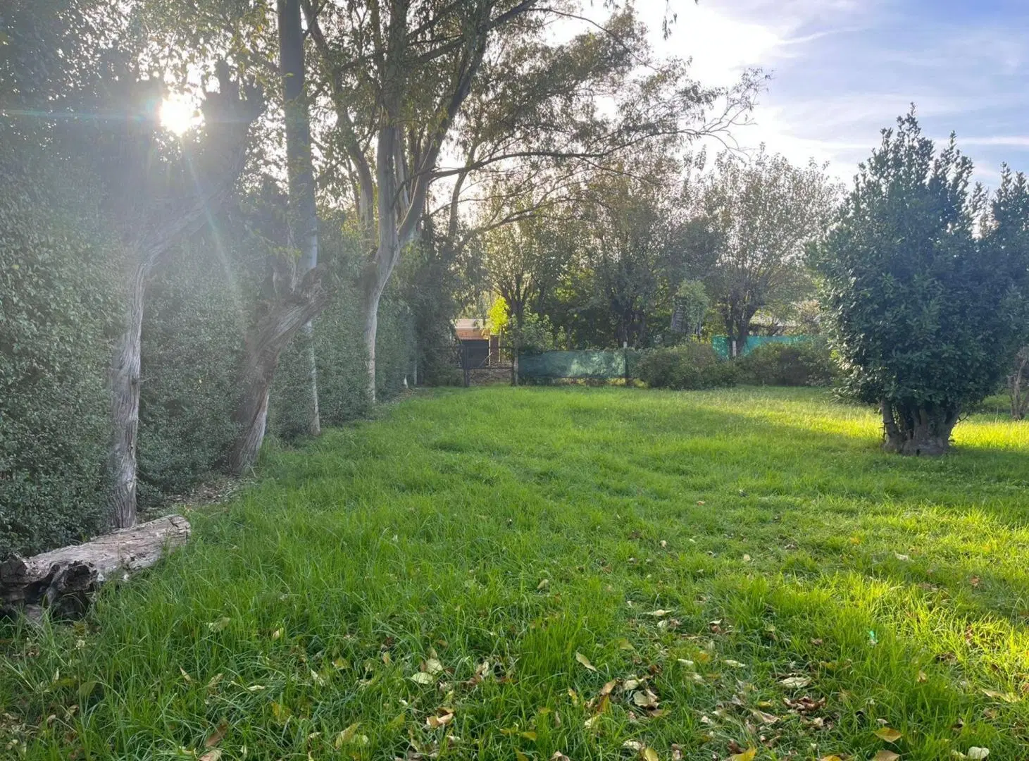 Venta Lote zonaOffice Park Las Camelias Del Viso 3