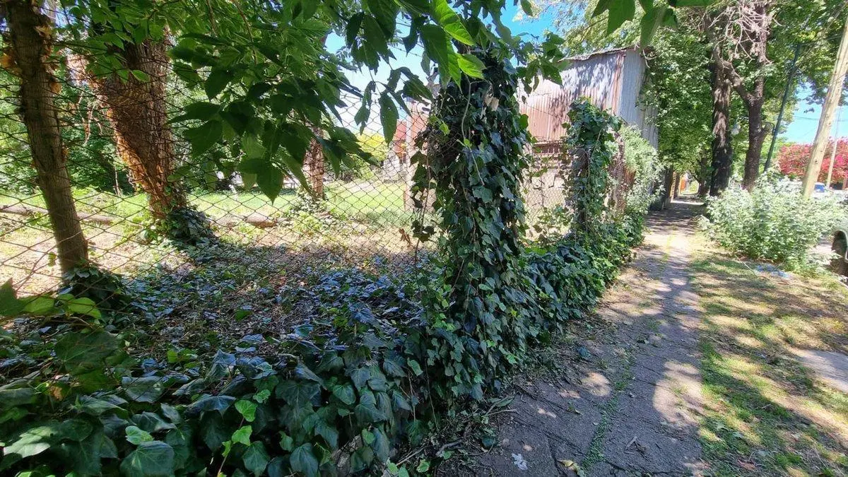 Venta Lote 1000 m2 Boulogne 2