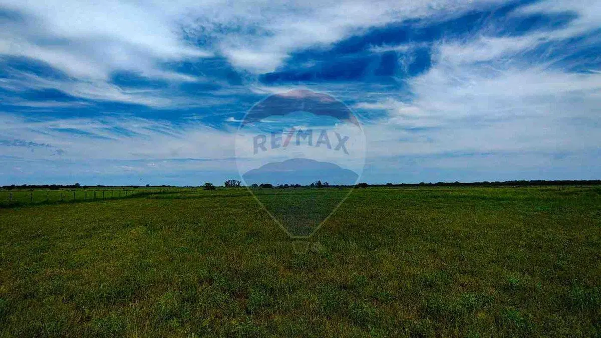 VENTA - LOTE 14.764 m² - CHACRAS DE OLIVIA, ZÁRATE 2