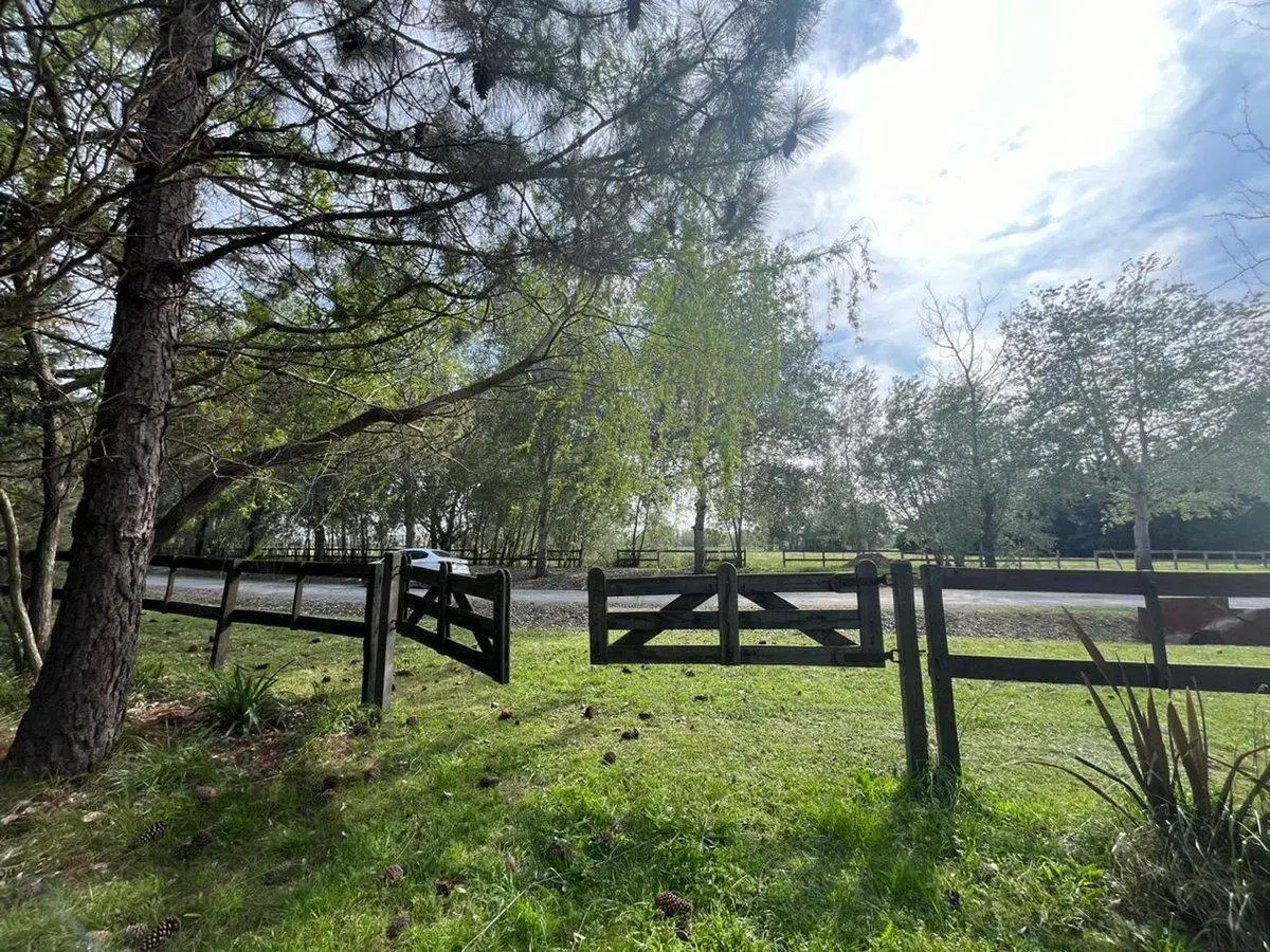 Venta lote arbolado Haras el Malacate 4