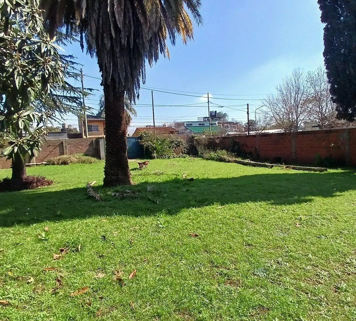 VENTA LOTE 20X65 c/CASA PACHECO TIGRE INVERSORES! 3