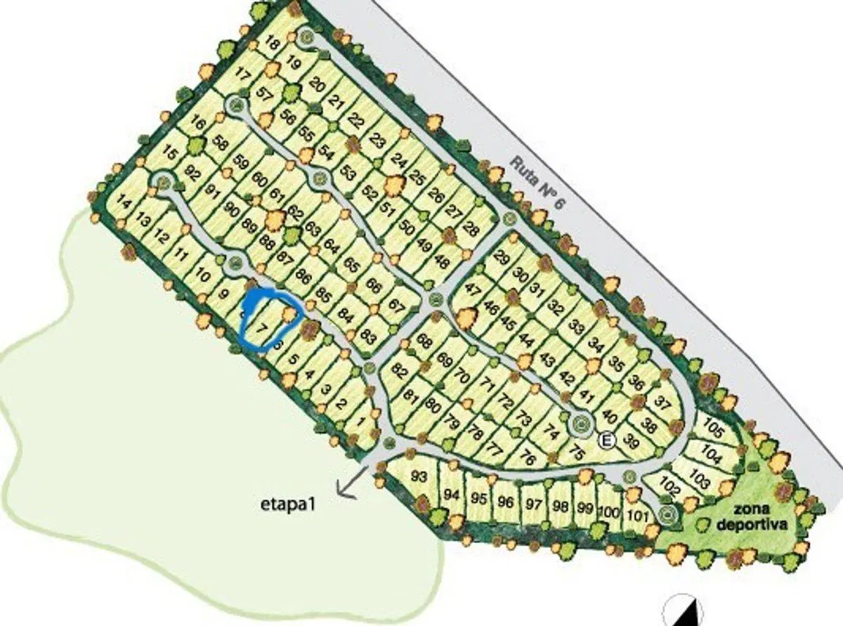 Plano 1