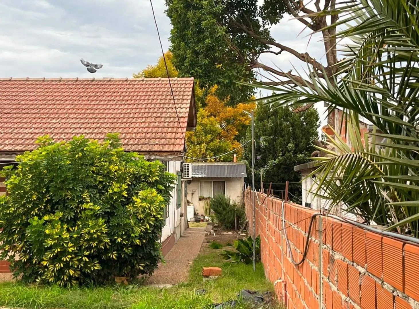 CASA EN VENTA BENAVIDEZ CENTRO 2