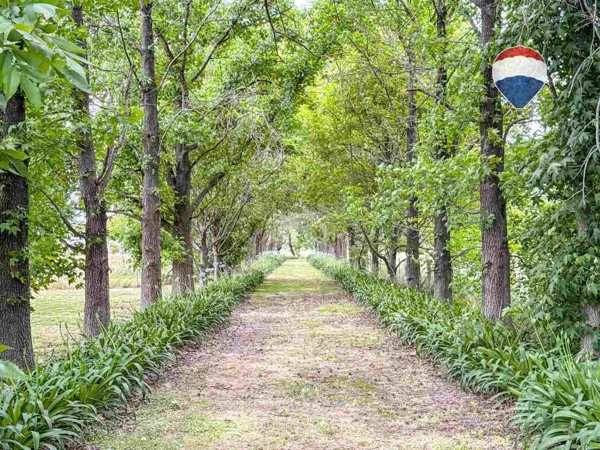 CHACRA EN VENTA  BARADERO - Tranquera Cerrada -9HA 5
