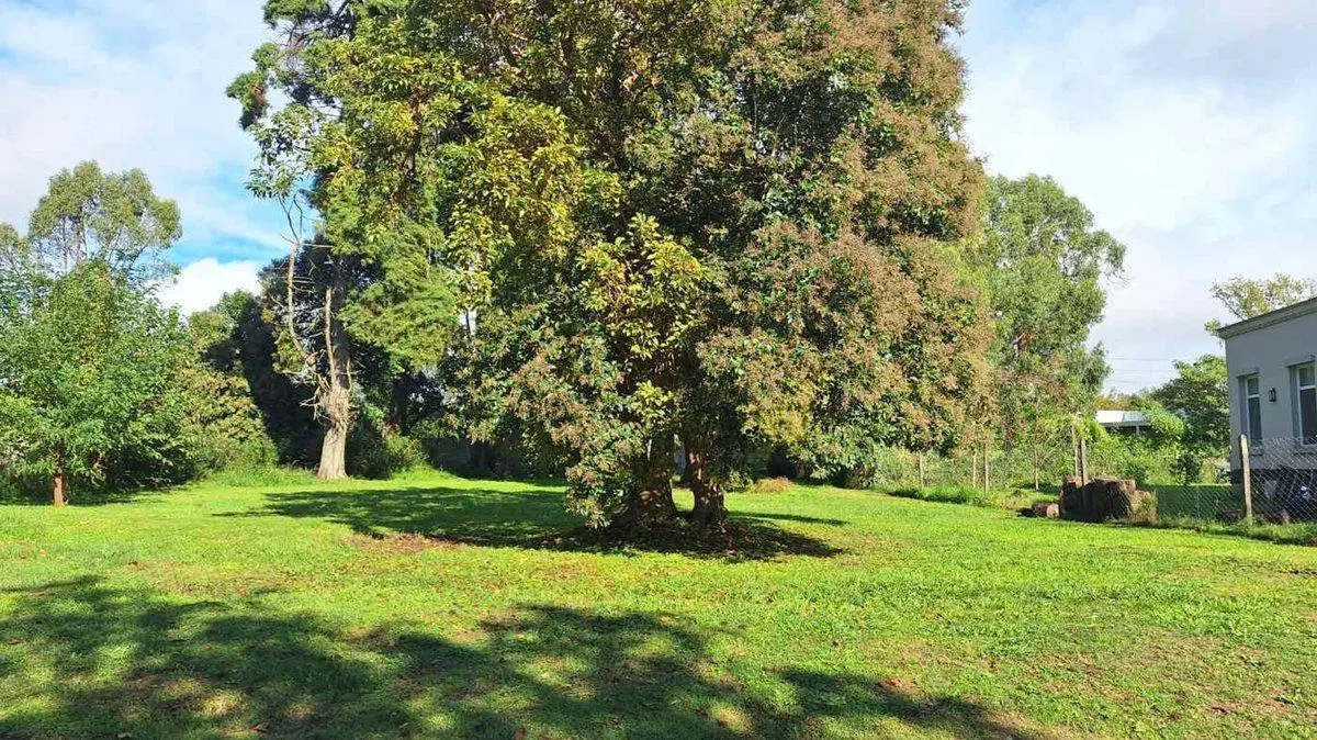 VENTA LOTE en B° SAN MATIAS AREA 3 (NE) 5
