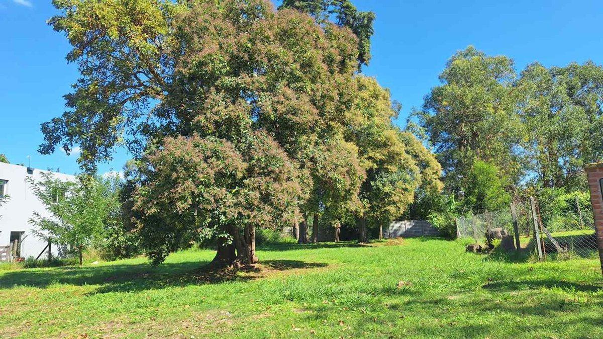 VENTA LOTE en B° SAN MATIAS AREA 3 (NE)