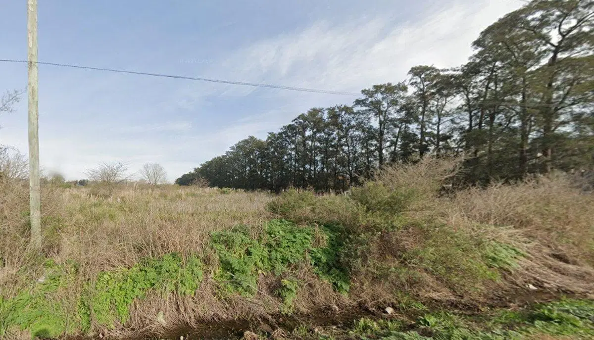 Venta lote 9 hectáreas en Loma Verde Escobar Bs As 2