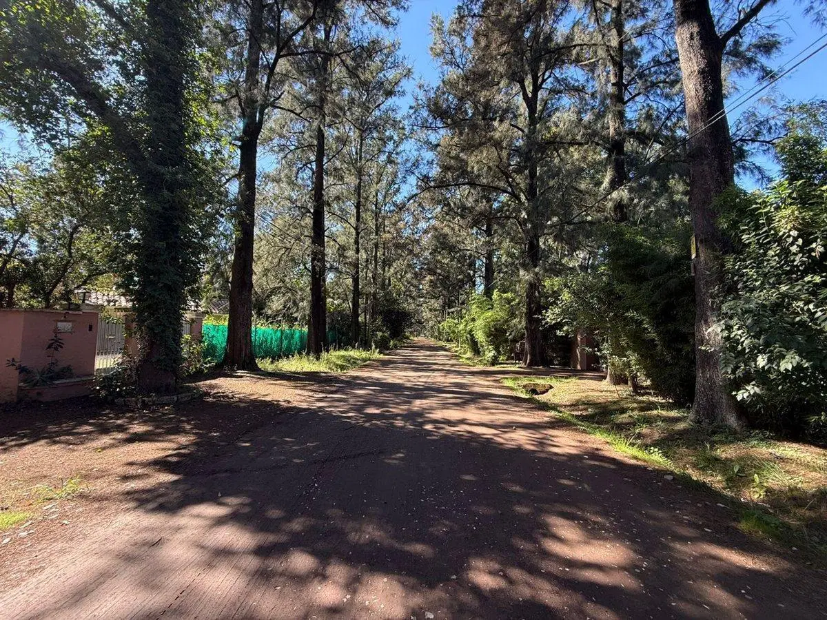 VENTA LOTE EN YEI PORÁ TORTUGUITAS BARRIO CERRADO 5