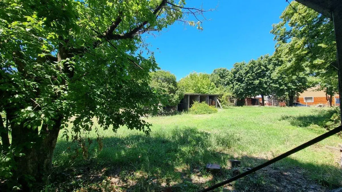 Venta Lote 1000 m2 Boulogne 5