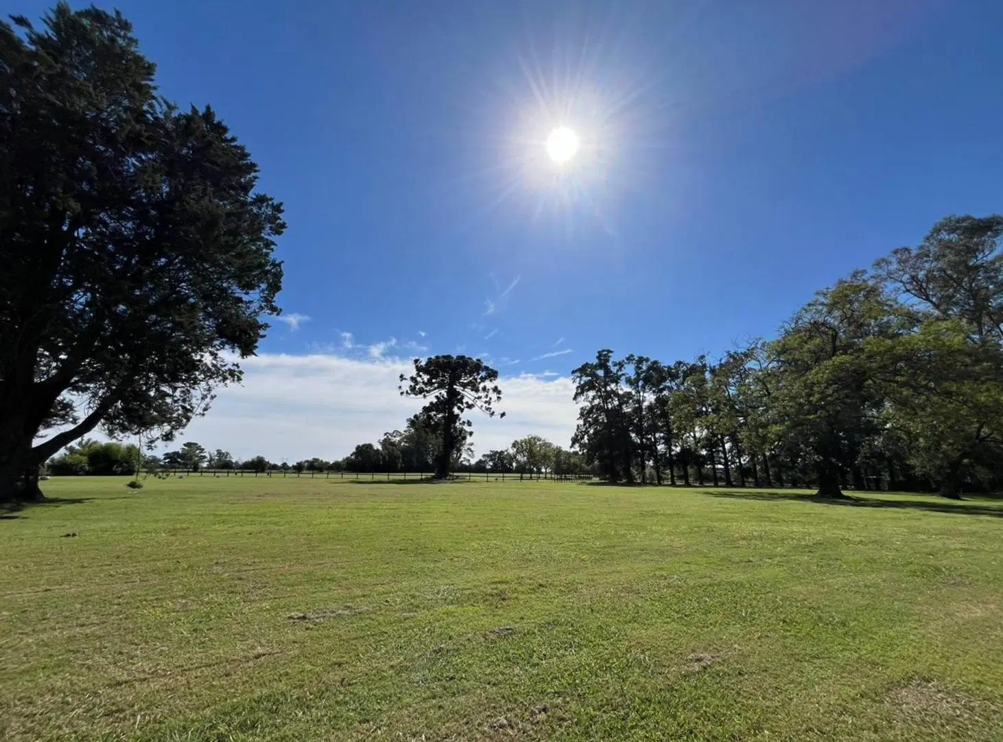 Venta lote arbolado Haras el Malacate 5