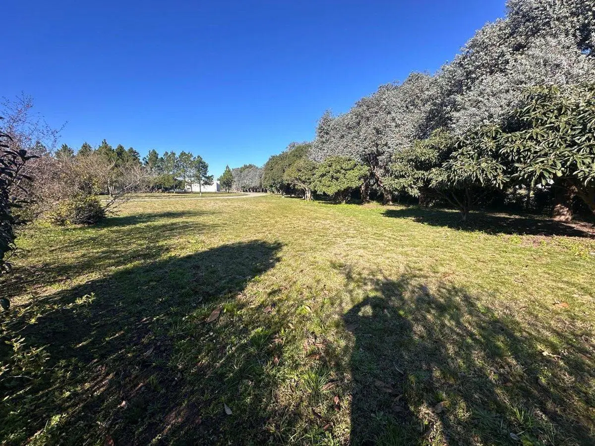 VENTA LOTE EN BARRIO CERRADO EL CARDAL II CAMPANA 5