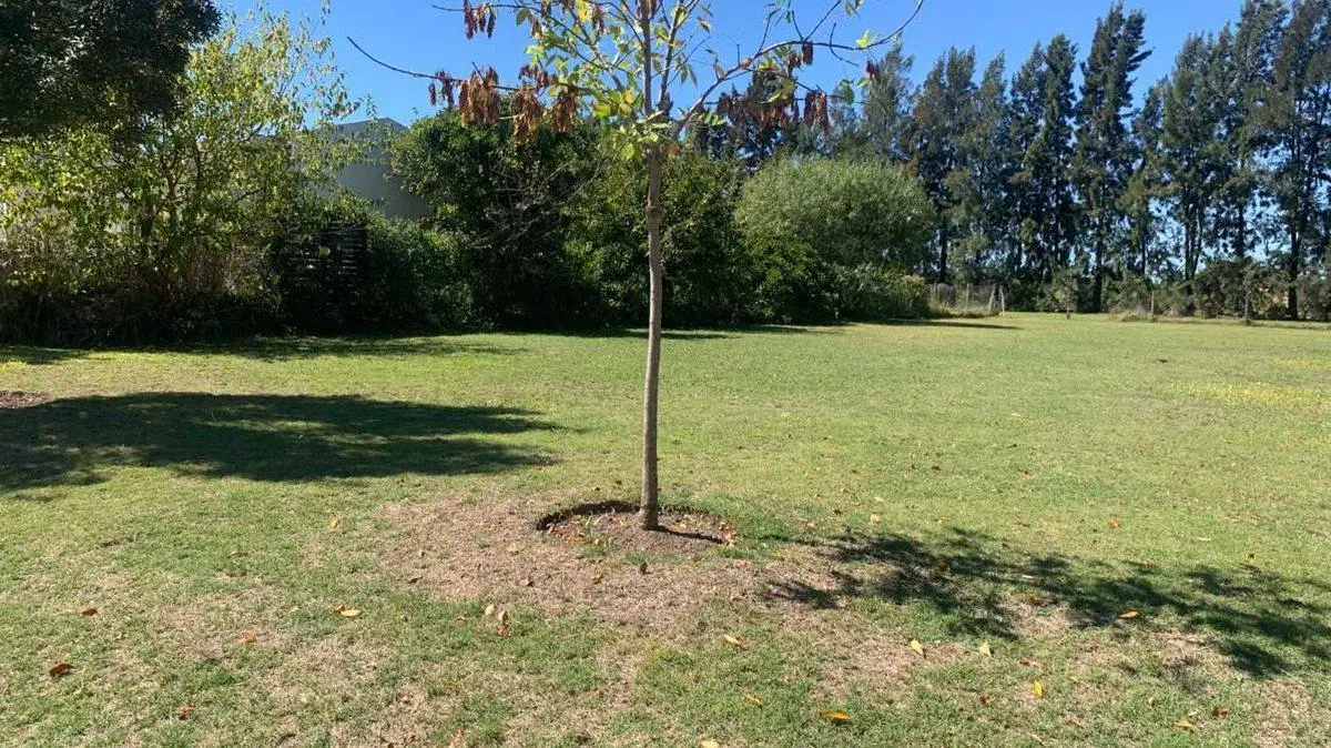 VENTA LOTE EN B° SANTA TERESA TIGRE VILLANUEVA 3