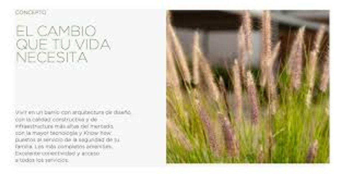 Foto de LOTE EN VENTA CASUARINAS NORDELTA AL AGUA FINANCIA, imagen 3