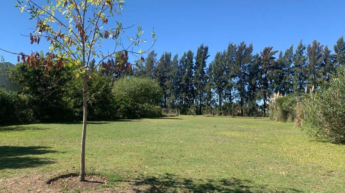 Foto de VENTA LOTE EN B° SANTA TERESA TIGRE VILLANUEVA, imagen 3