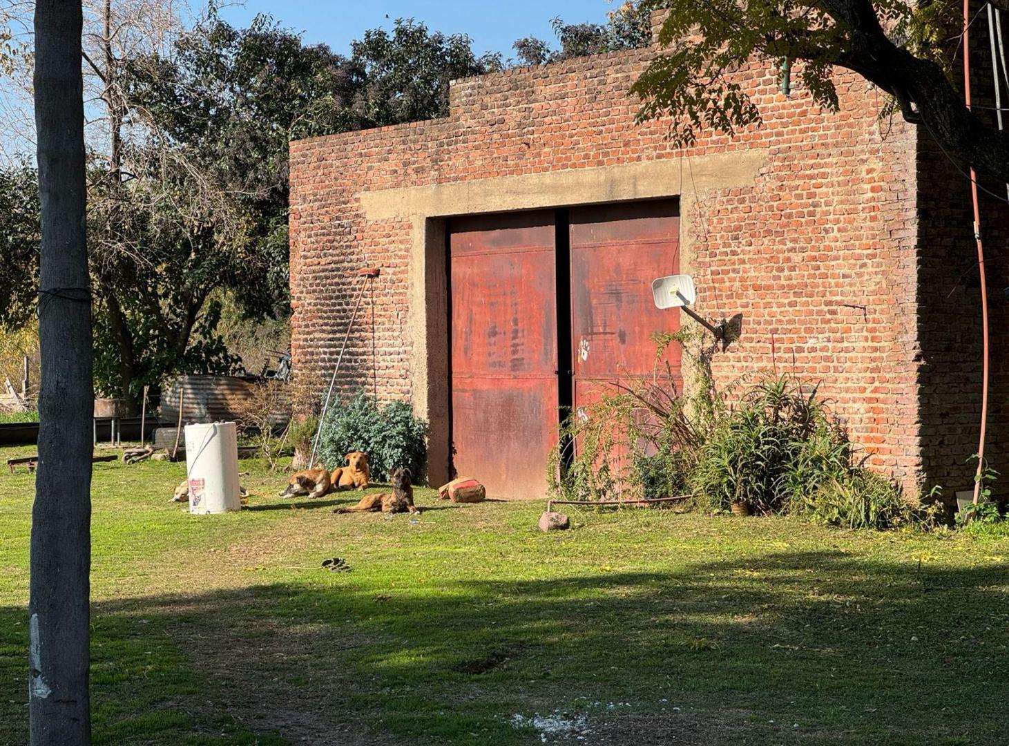 Foto de CAMPO EN VENTA 17 HECTAREAS PILAR RUTA 25, imagen 1